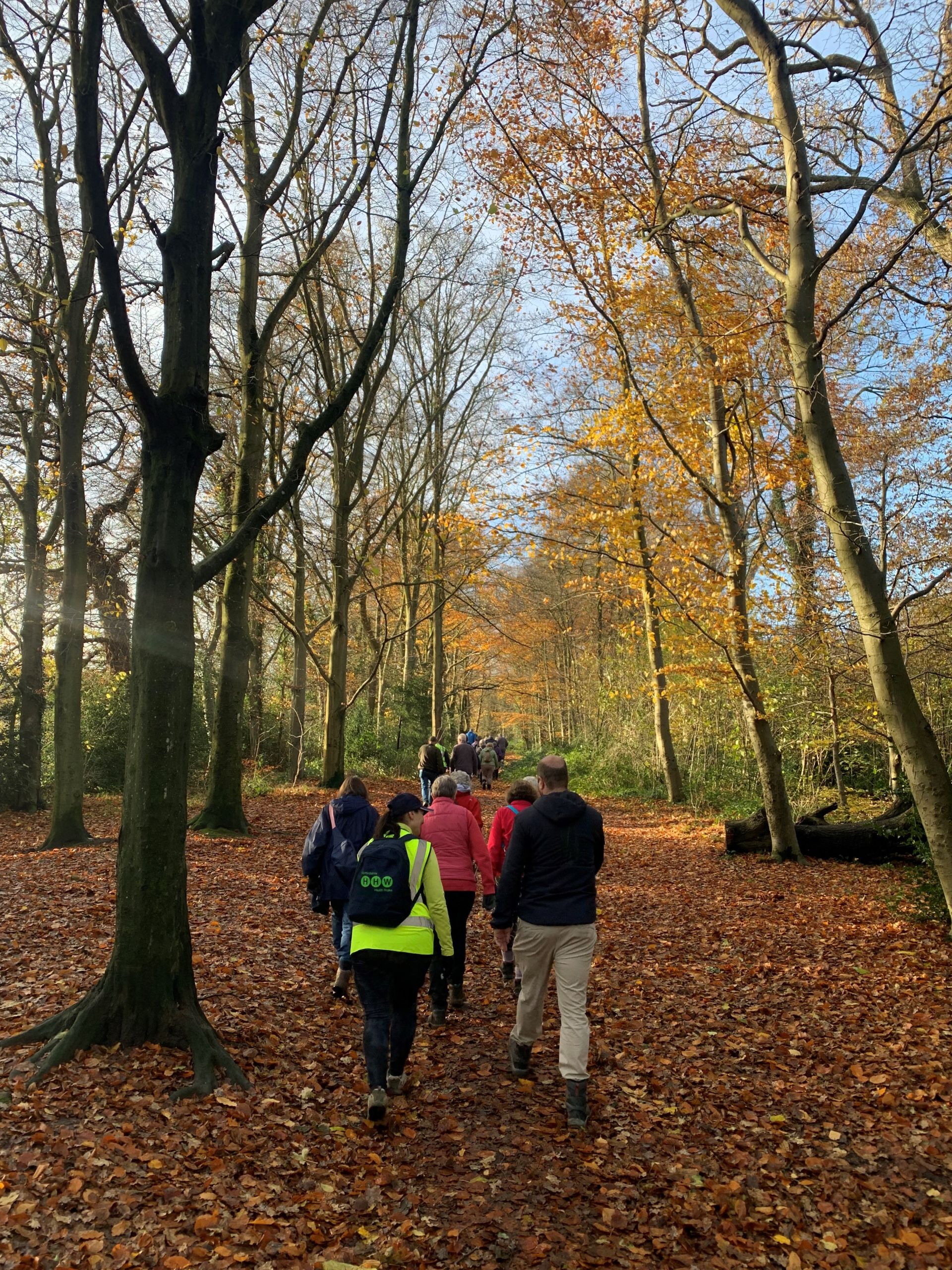 Sherrardspark Wood - Grade 2 and Grade 3
